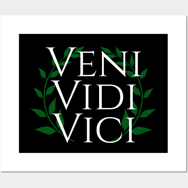 Veni Vidi Vici - I Came, I Saw, I Conquered - Roman History Julius Caesar Quote Wall Art by Styr Designs